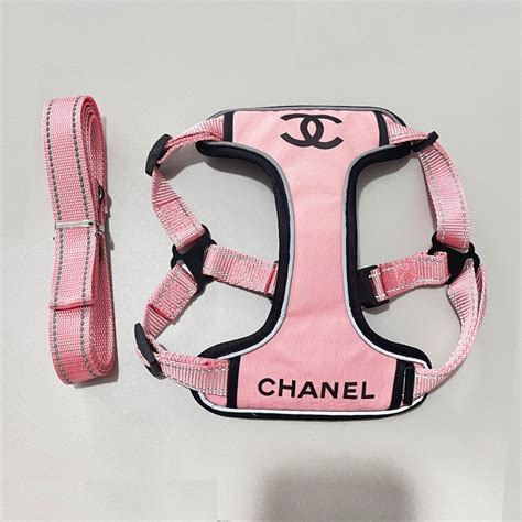 Coco Chanel dog accessories